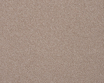 [400111261_8] Zen Fusion - 262-Beige-2